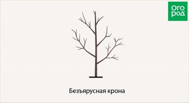Как обрезать плодовые деревья – все о видах крон и их формировании (в cхемах)