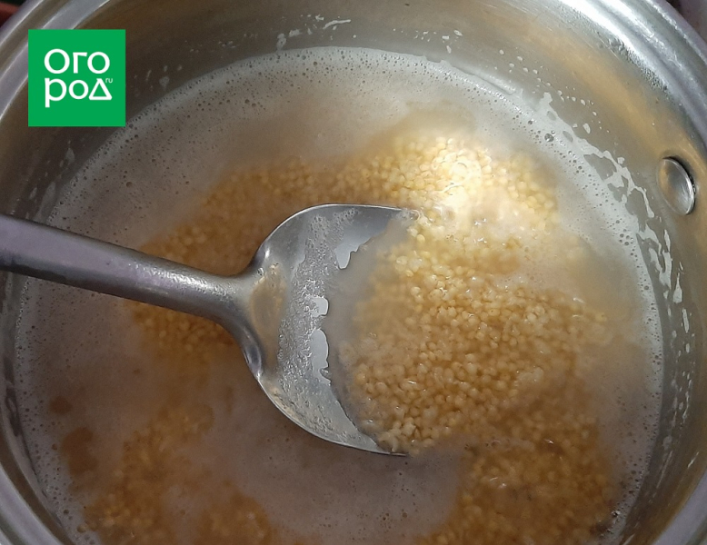 Три простых блюда из одной тыквы – мастер-класс с фото