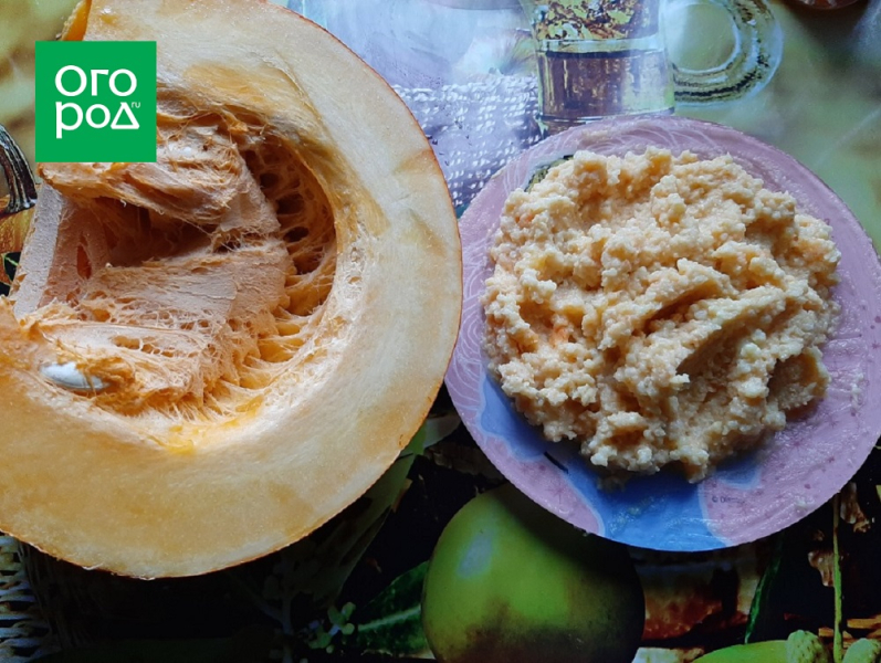 Три простых блюда из одной тыквы – мастер-класс с фото