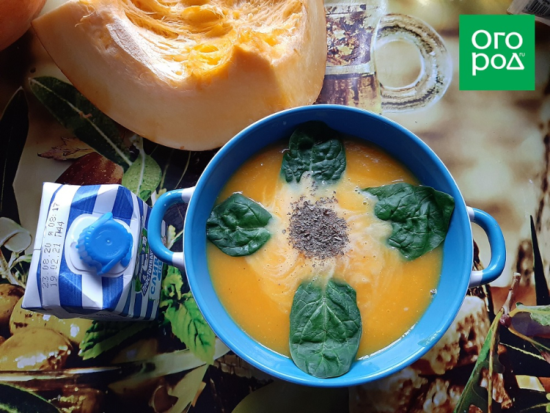 Три простых блюда из одной тыквы – мастер-класс с фото