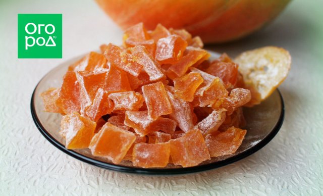 Три простых блюда из одной тыквы – мастер-класс с фото