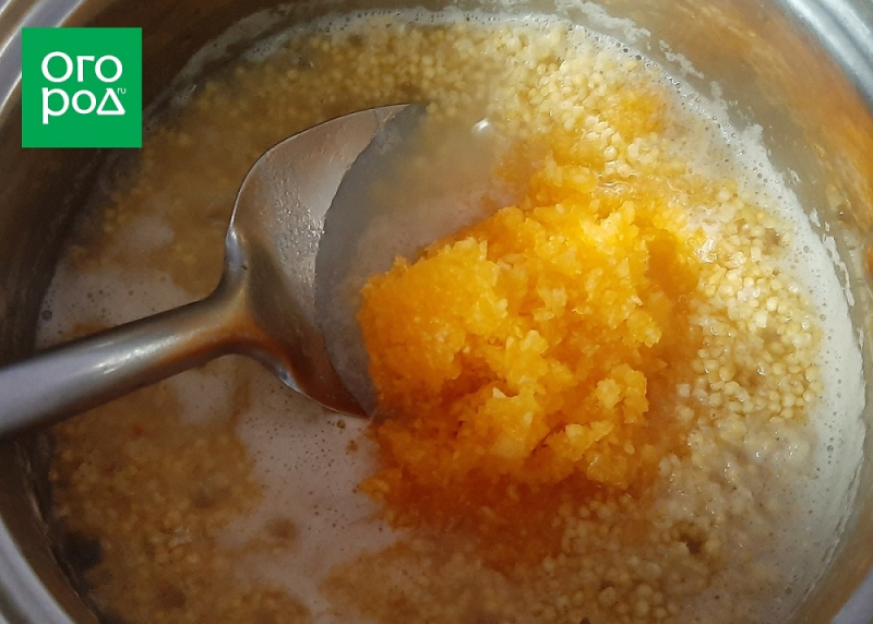 Три простых блюда из одной тыквы – мастер-класс с фото