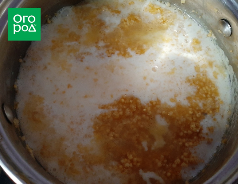 Три простых блюда из одной тыквы – мастер-класс с фото