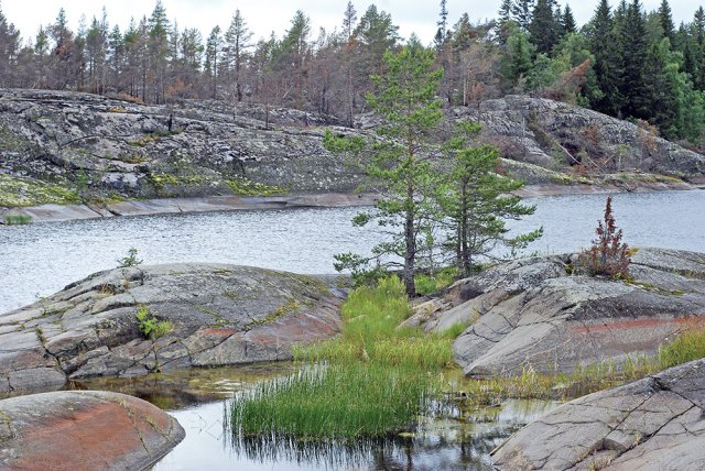 Самые красивые и интересные парки России: топ-8
