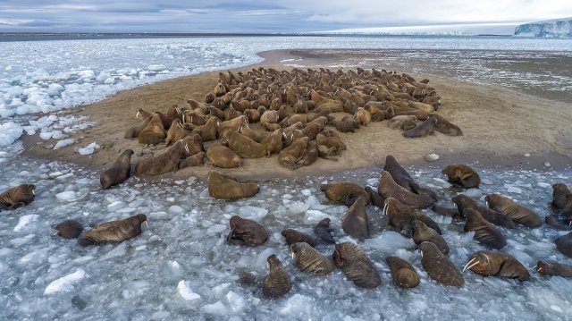 Самые красивые и интересные парки России: топ-8