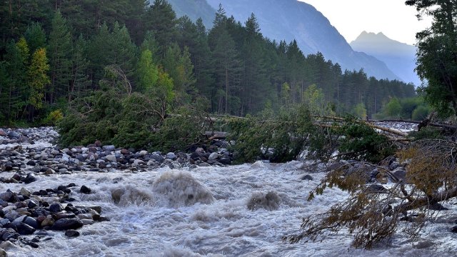 Самые красивые и интересные парки России: топ-8