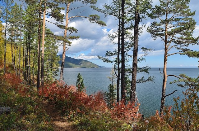 Самые красивые и интересные парки России: топ-8