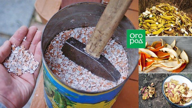 5 "модных" дачных средств, от которых мы ждем слишком многого