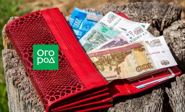 Где построить дом и баню, поставить теплицу и туалет – все о планировании на участке (фото, схемы)