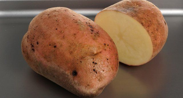 50 сортов картофеля для пюре, жарки, запекания и картошки фри