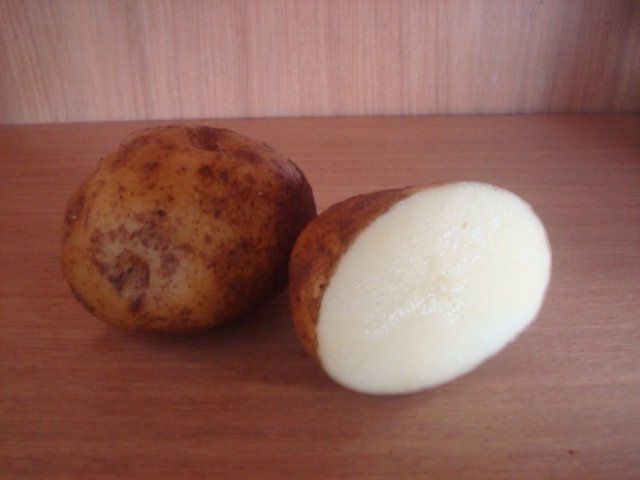 50 сортов картофеля для пюре, жарки, запекания и картошки фри