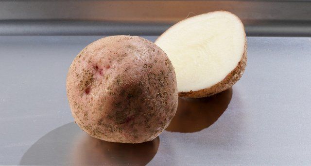 50 сортов картофеля для пюре, жарки, запекания и картошки фри