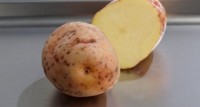 50 сортов картофеля для пюре, жарки, запекания и картошки фри