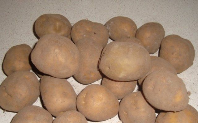 50 сортов картофеля для пюре, жарки, запекания и картошки фри