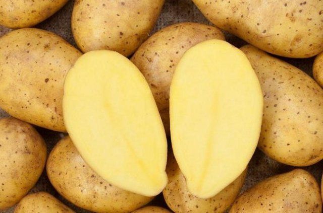 50 сортов картофеля для пюре, жарки, запекания и картошки фри