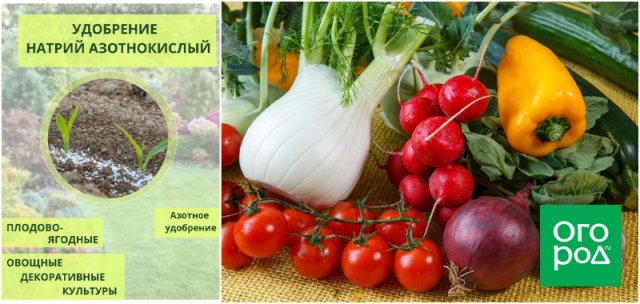 10 азотных удобрений, которые помогут вам весной