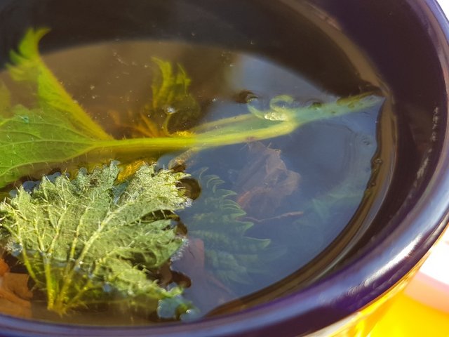 Чем подкормить малину весной: народные средства и готовые удобрения + нормы внесения