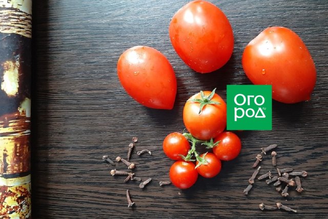 7 потрясающих рецептов маринованных помидоров на любой вкус (с фото)