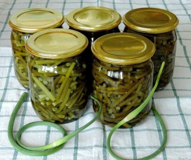 Что приготовить из чесночных стрелок – рецепты заготовок на зиму и не только