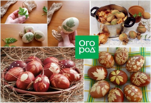 Вторая жизнь старых капроновых колготок дома и на участке