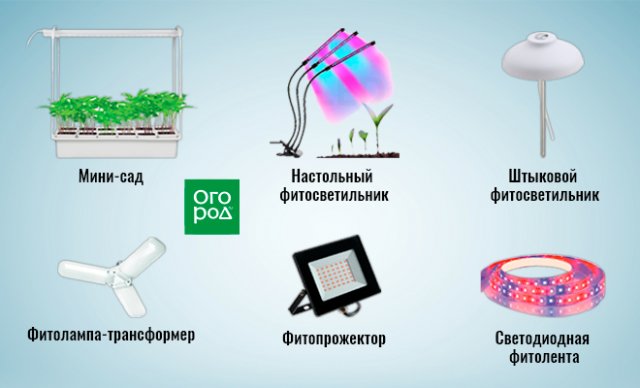 Как выбрать фитолампу: по цвету, мощности, размеру